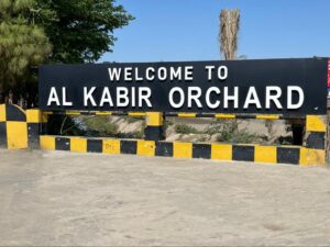 al kabir orchard alternate entrance