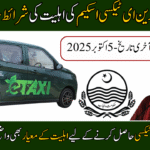 Eligibility Criteria for Punjab Green E-Taxi Scheme