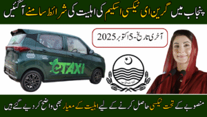 Eligibility Criteria for Punjab Green E-Taxi Scheme