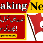 Sindh Govt Announced Holiday