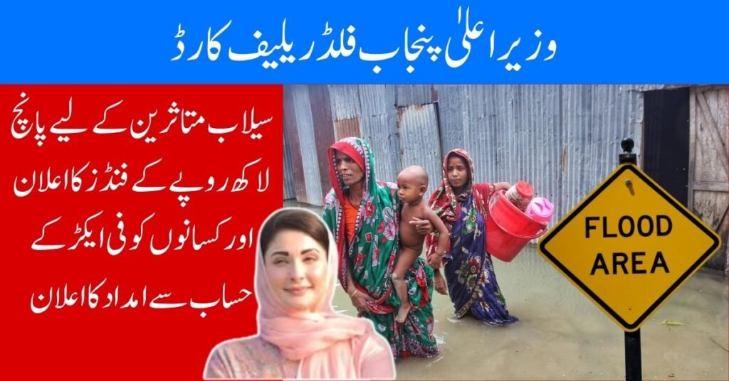 CM Punjab Flood Relief Card 2025