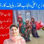 CM Punjab Flood Relief Card 2025