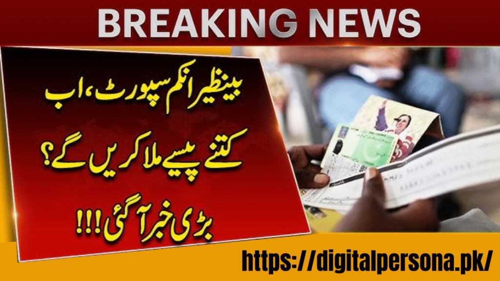 BISP New Payment