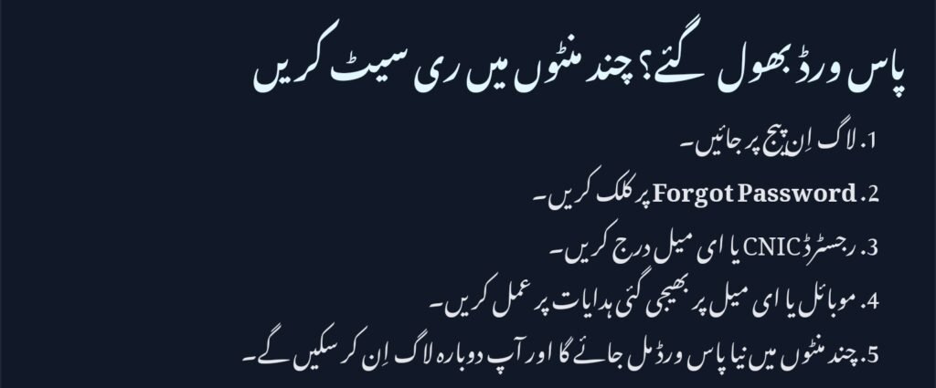 pave.gov.pk Online Apply