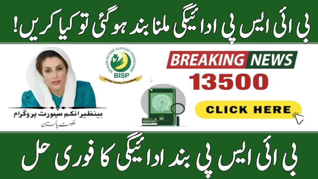 BISP Missing Payment Quick Fixes