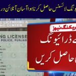 Getting a Driving License Made Easier in Punjab