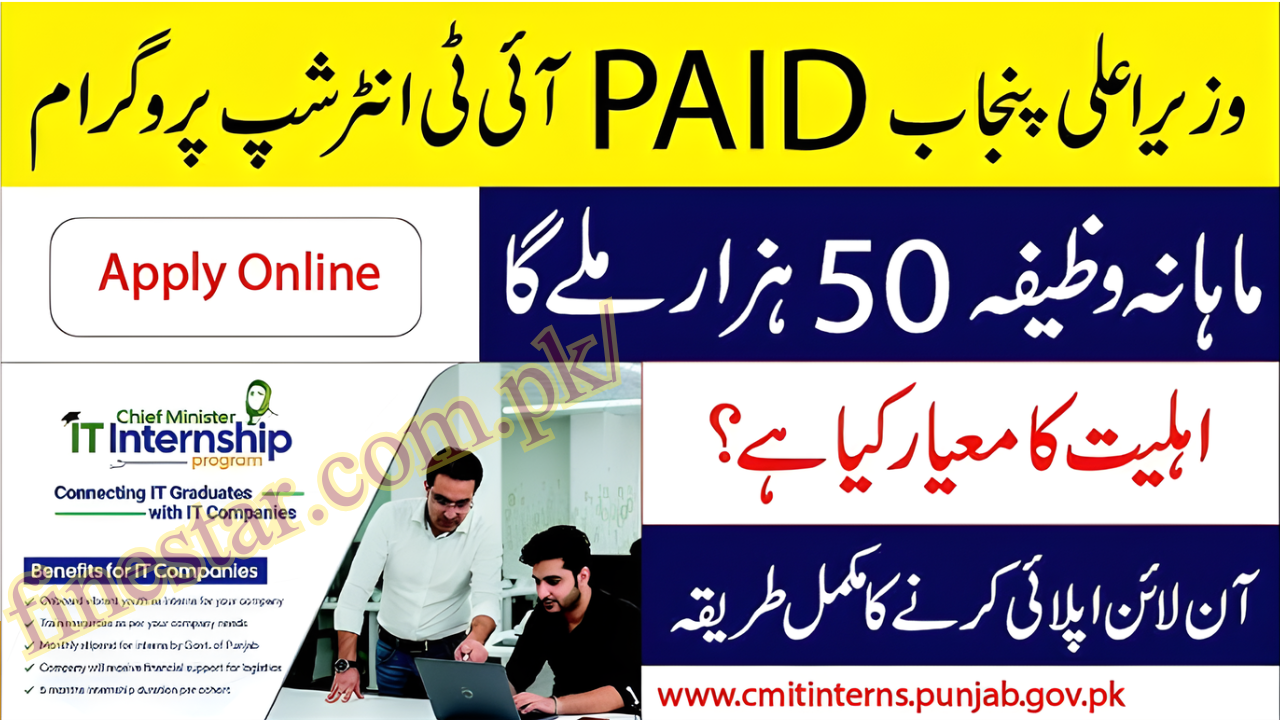 Chief Minister IT Internship Program