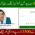 BISP 8171 New Payment