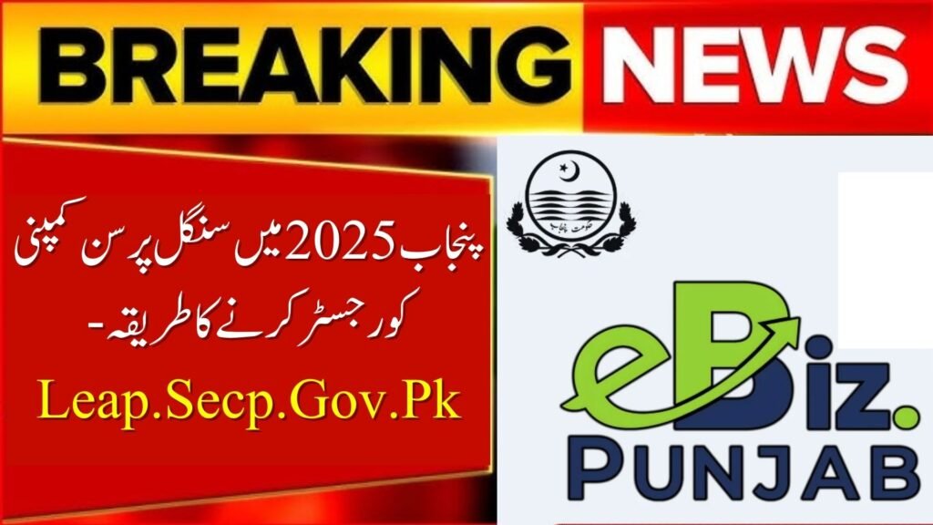 Register a Single Person Company in Punjab