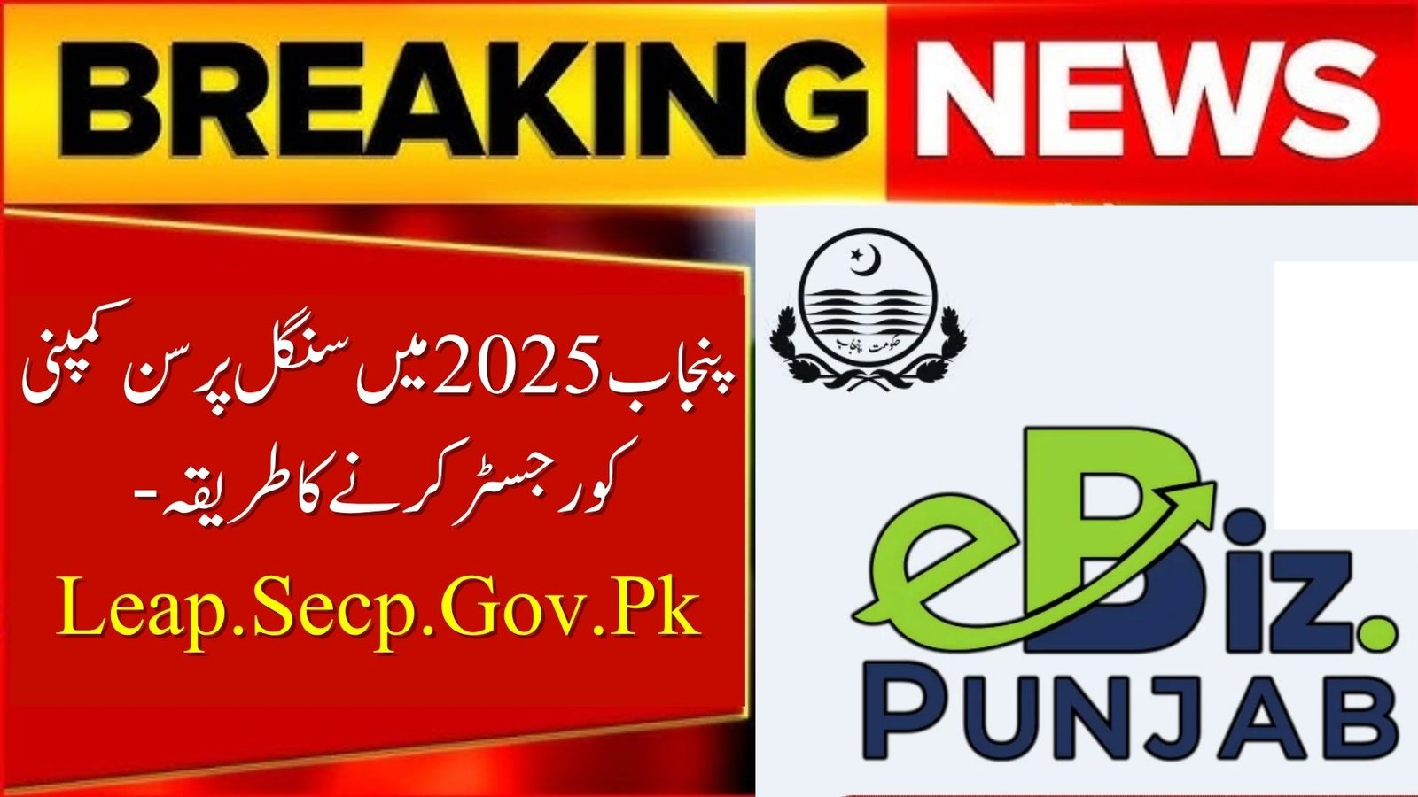 Register a Single Person Company in Punjab