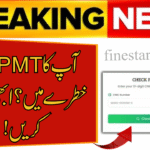 BISP PMT Score Check Using CNIC 2