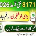 BISP 1st Phase Payment