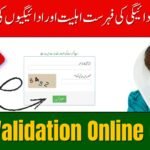 8171 Validation Online Check